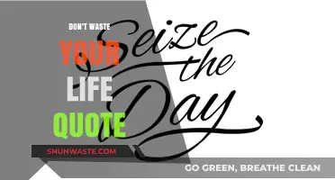 Seize the Day: Why Wasting Life Is a Choice You Can't Afford