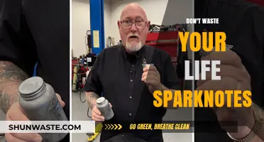 Seize the Spark: Igniting Purpose in an Uncertain World