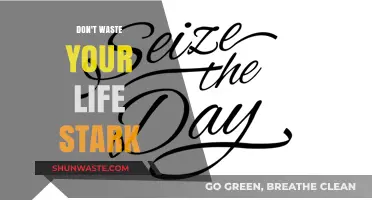Seize the Day: Avoiding the Pitfalls of a Wasted Life