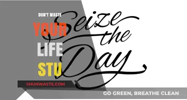 Seize the Day: Avoid These 5 Common Life-Wasting Pitfalls