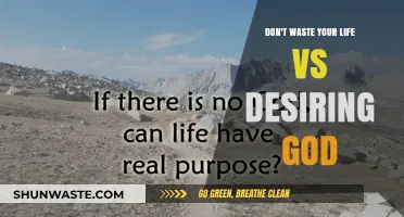Seeking Purpose: Don't Waste Your Life vs. Desiring God