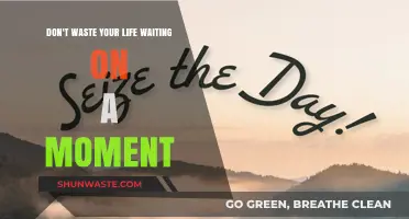 Seize the Day: Why You Shouldn't Wait for the Perfect Moment
