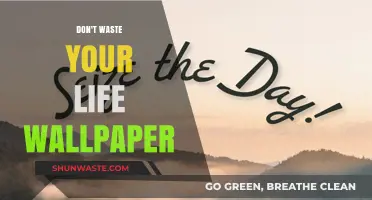 Seize the Day: Inspiring Wallpapers to Remind You Not to Waste Your Life