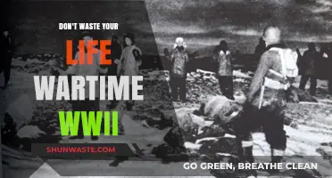 Don't Waste Your Life: Lessons from Wartime WWII