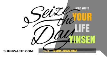 Seize the Day: Unlocking Your Potential Beyond 'Yinsen