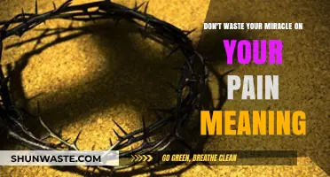 Unleashing Miracles: Transcending Pain to Find True Meaning