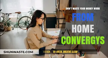 Maximize Your Income: Avoid These Work-From-Home Pitfalls