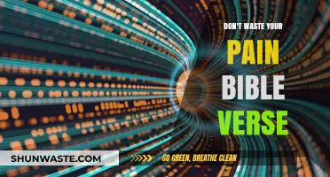 Transforming Trials: A Biblical Perspective on Pain and Purpose