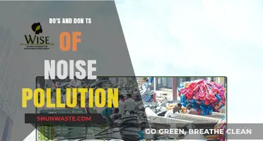 Noise Pollution: What to Embrace and Avoid