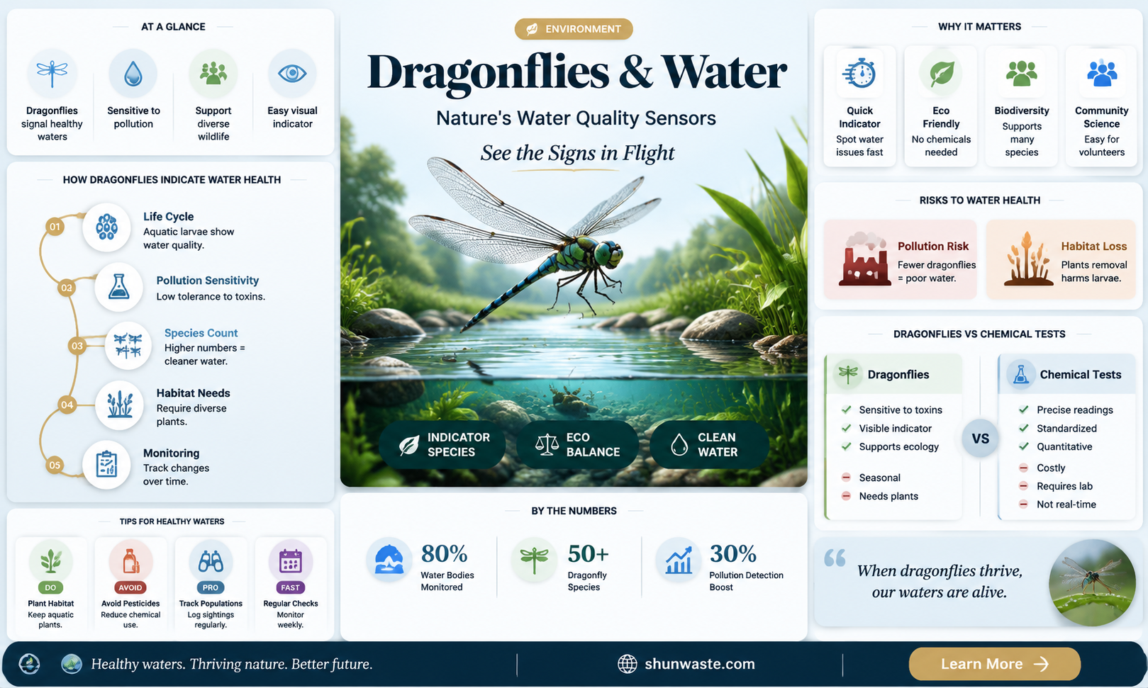 are dragon flies indicator of polluted water