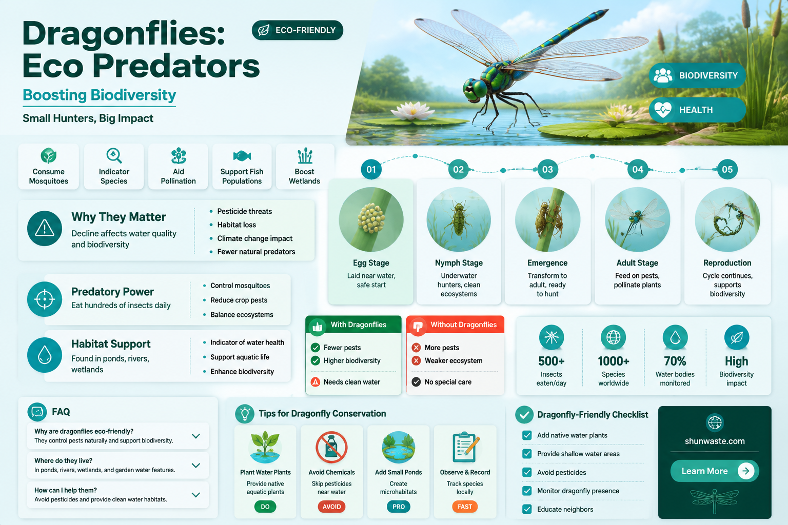 are dragonflies good for the environment