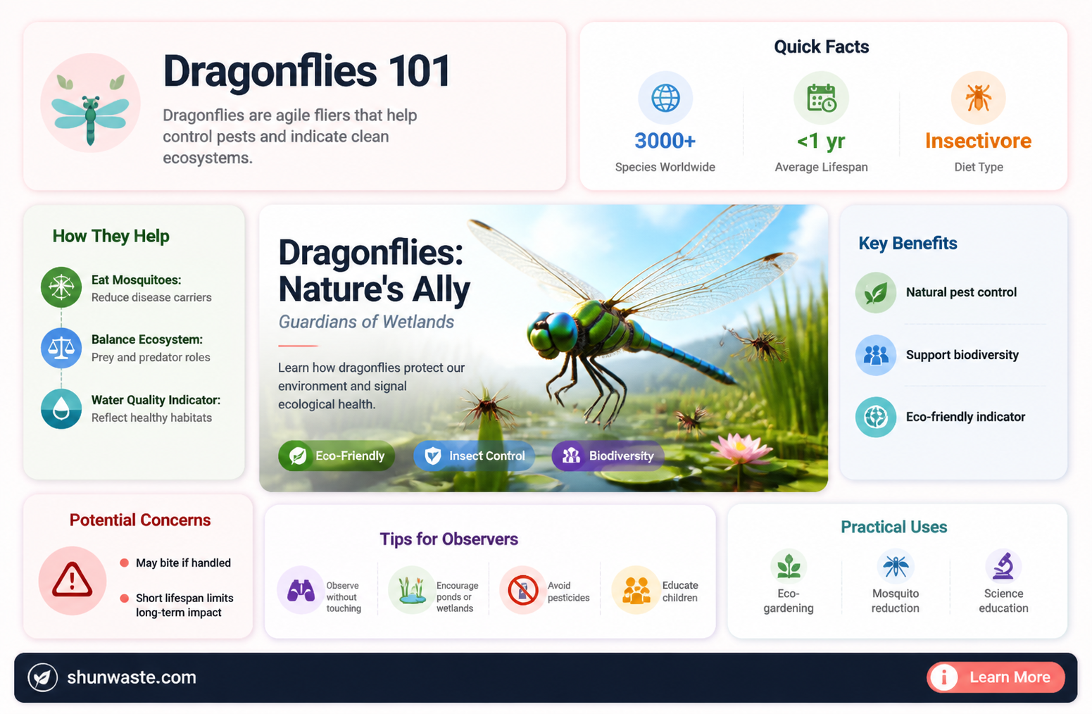 are dragonflies harmful or helpful to the environment