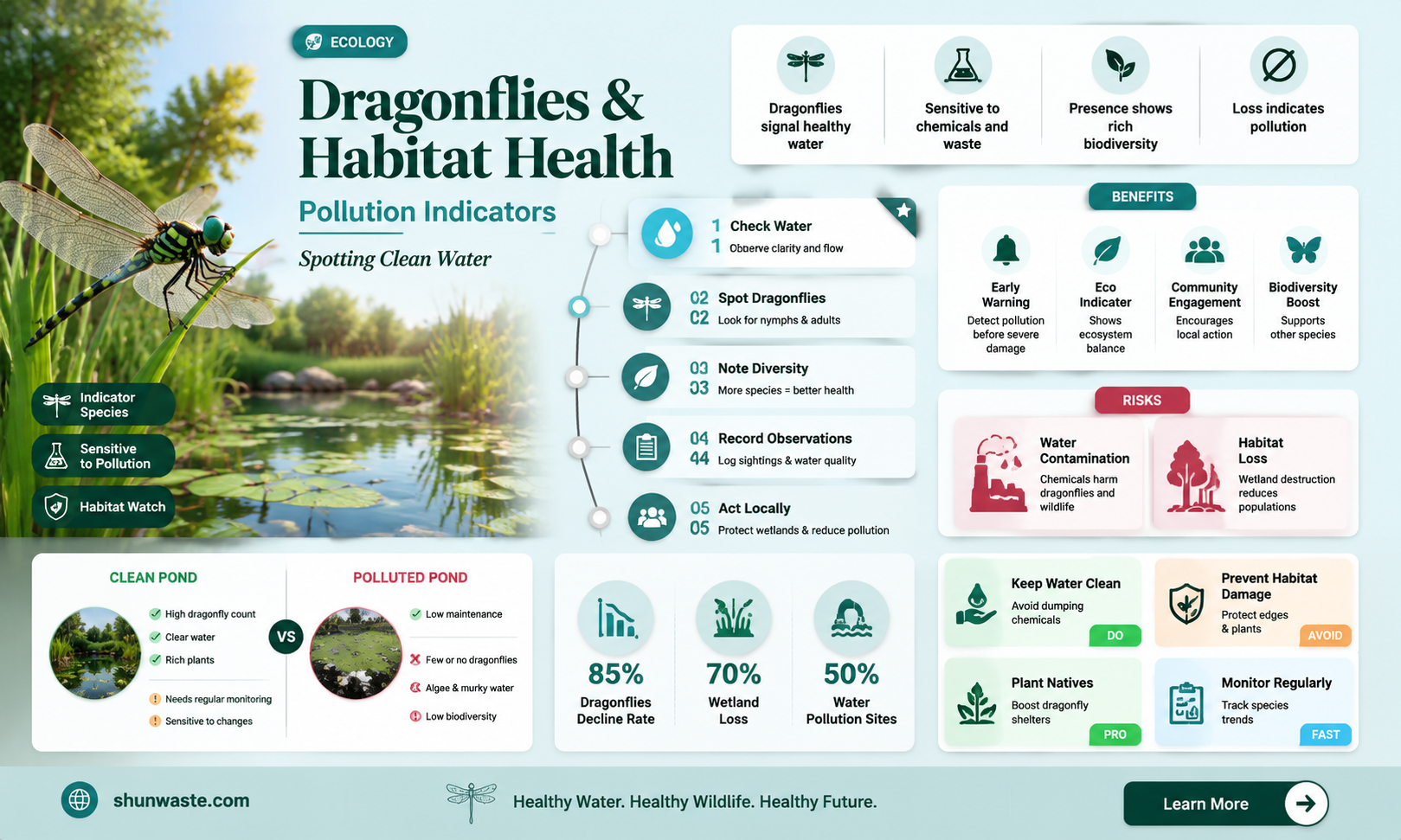 are dragonflies sensitive to pollution