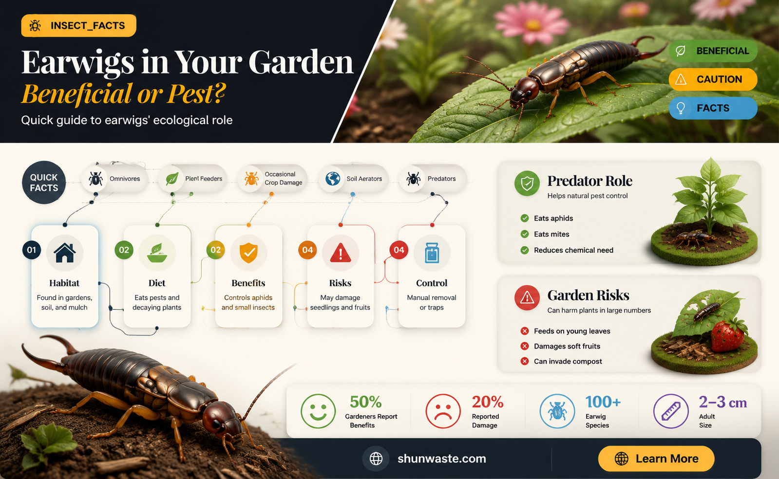 are earwigs good for the environment