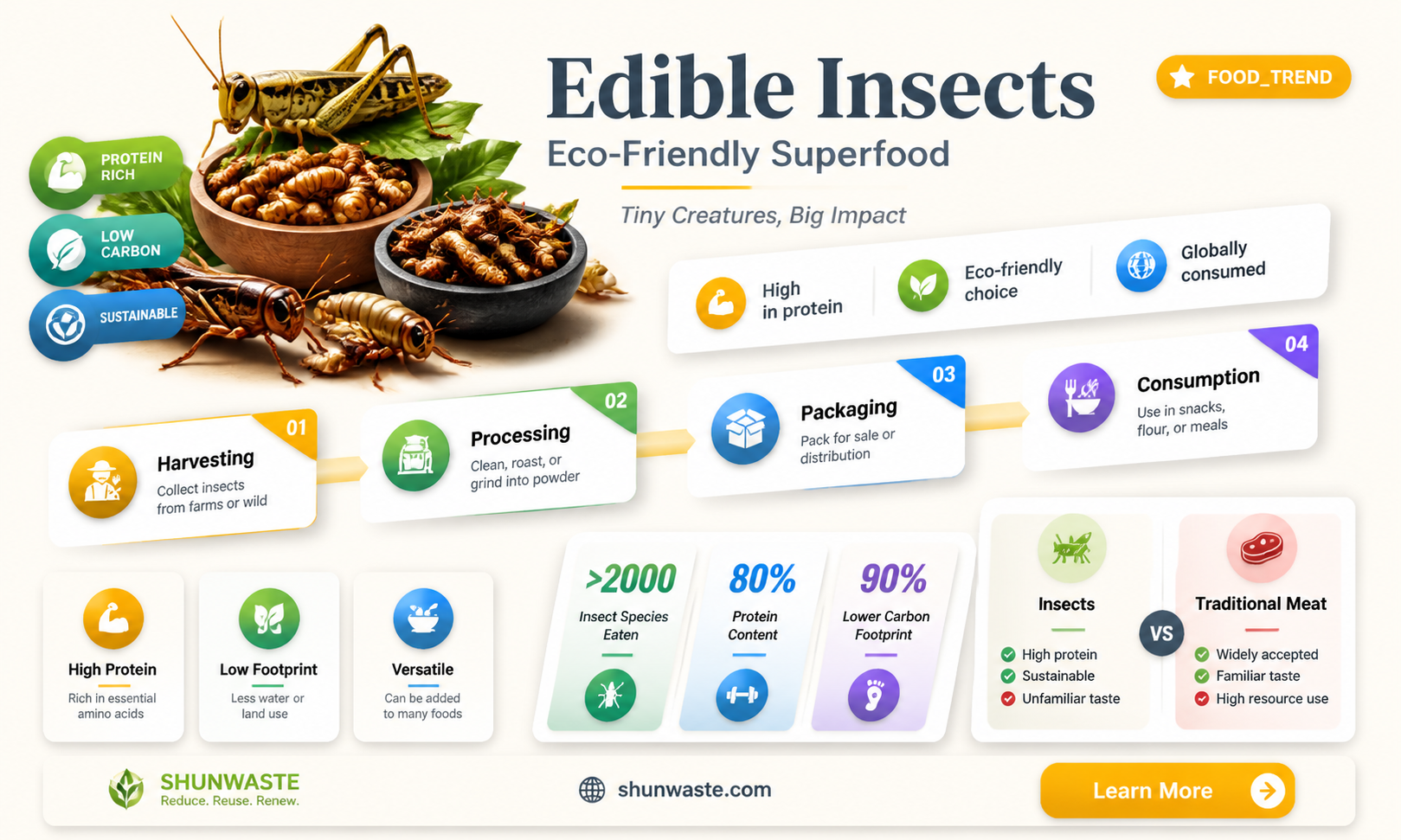 are edible insects good for the environment