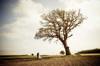 environment affect