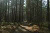 environment create