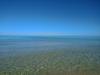 environment create