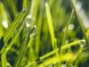 environment good