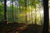 environment good