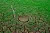 environment impact