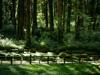 environment others