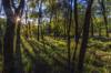 environment possibilities