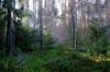 environment possibilities