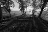 environment possibilities