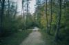 environment possibilities