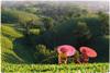 environment work