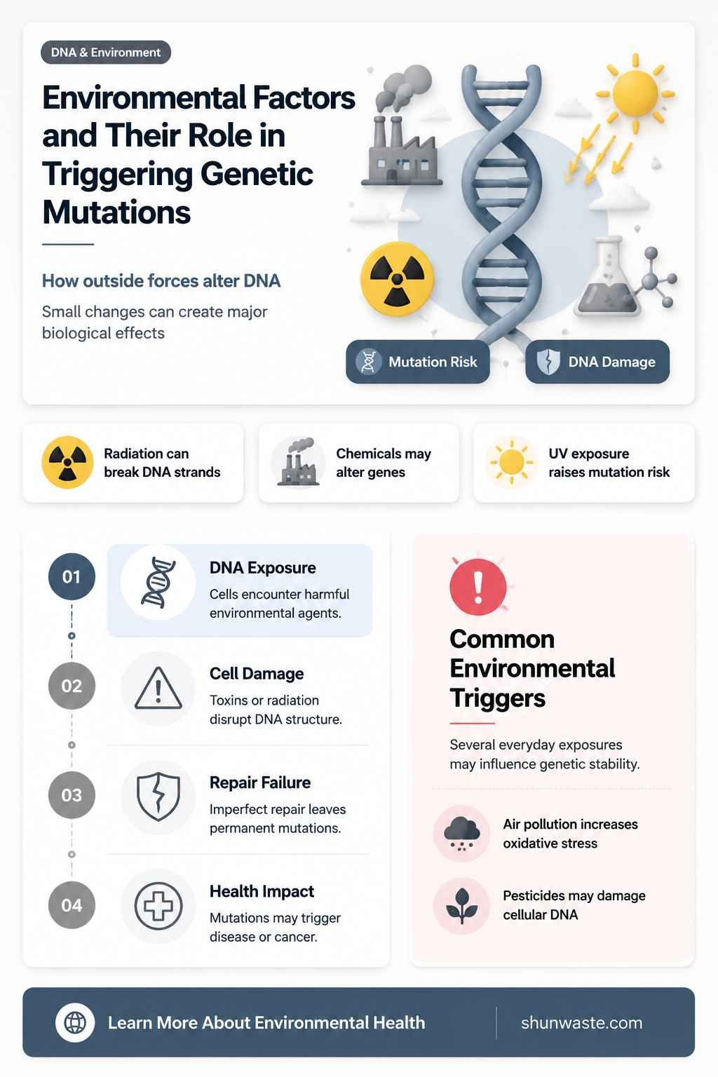 are mutations caused by changes in the environment