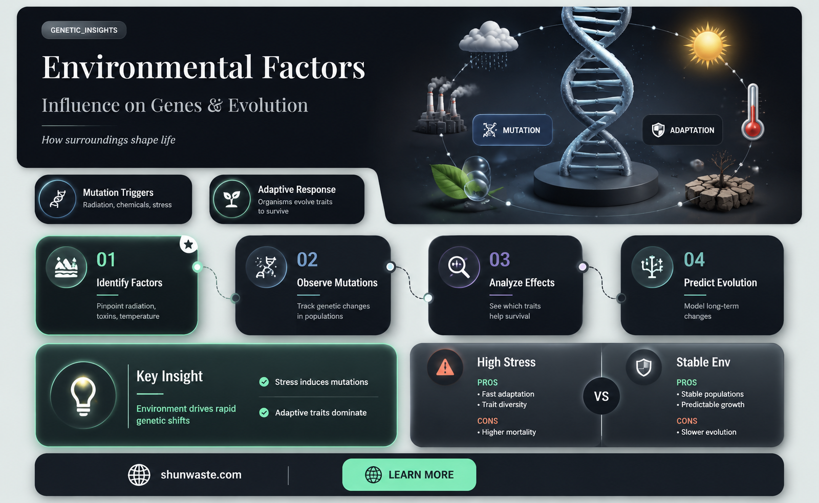 are mutations affected by the environment