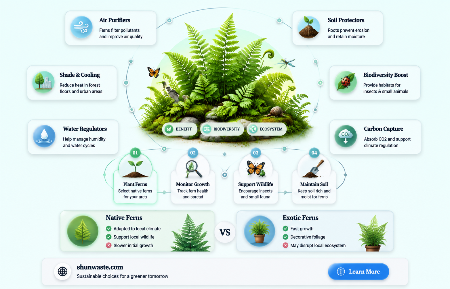 are ferns good for the environment