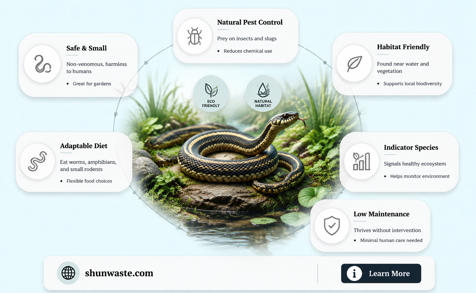 are garter snakes good for the environment