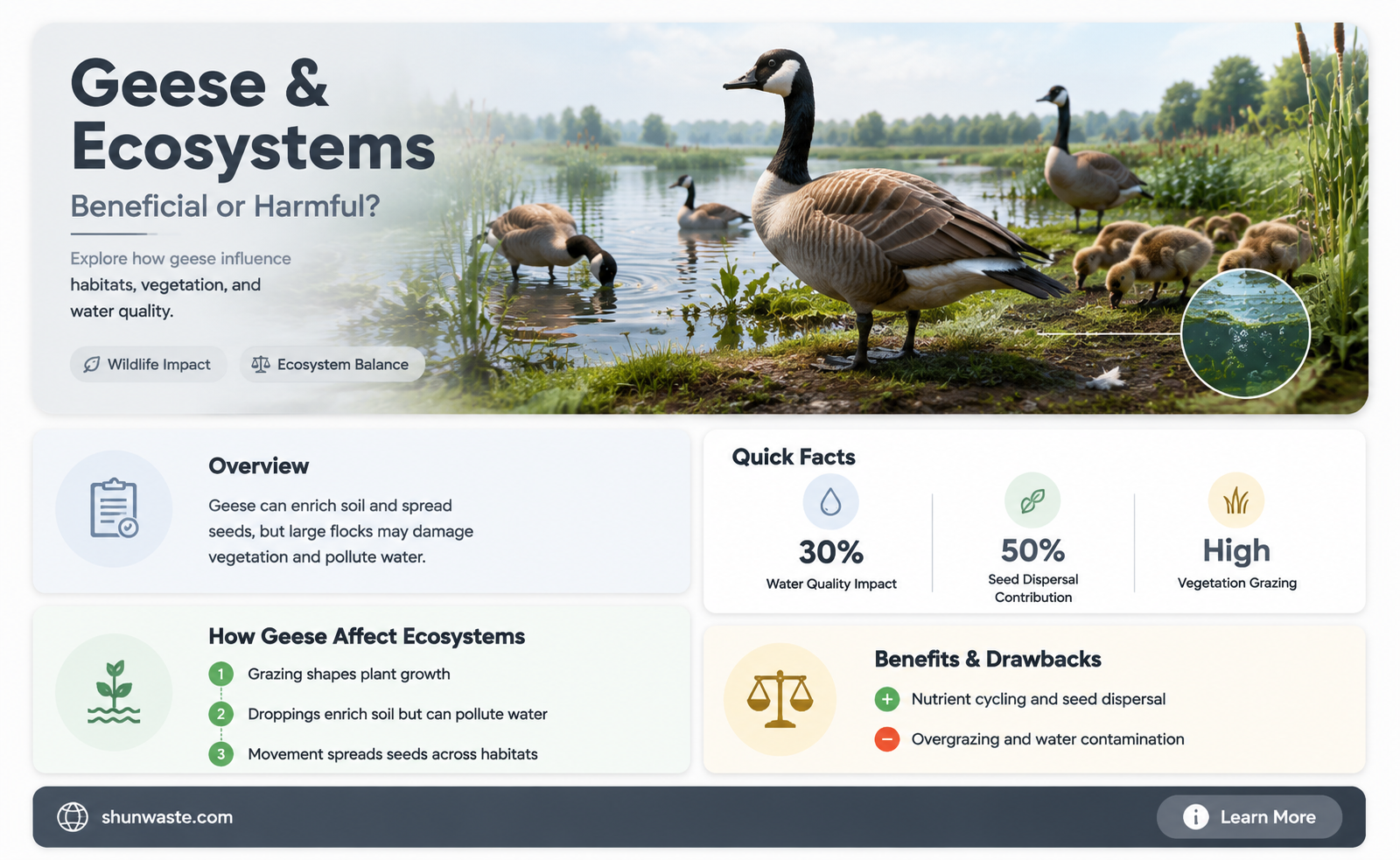 are geese good for the environment