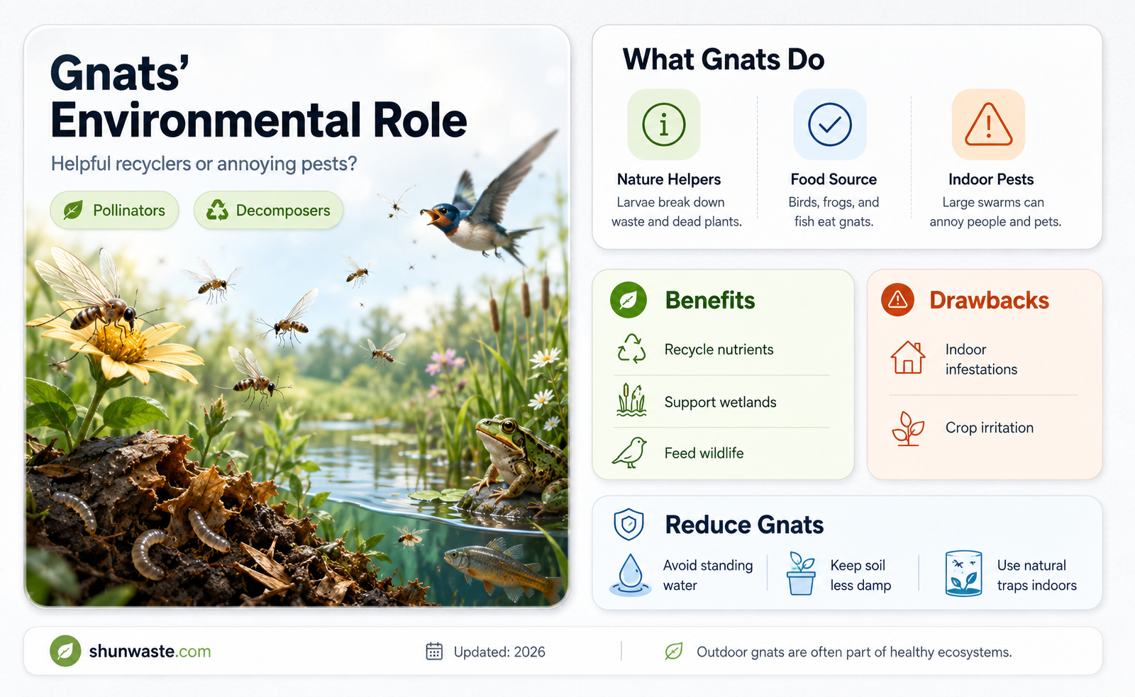 are gnats good for the environment