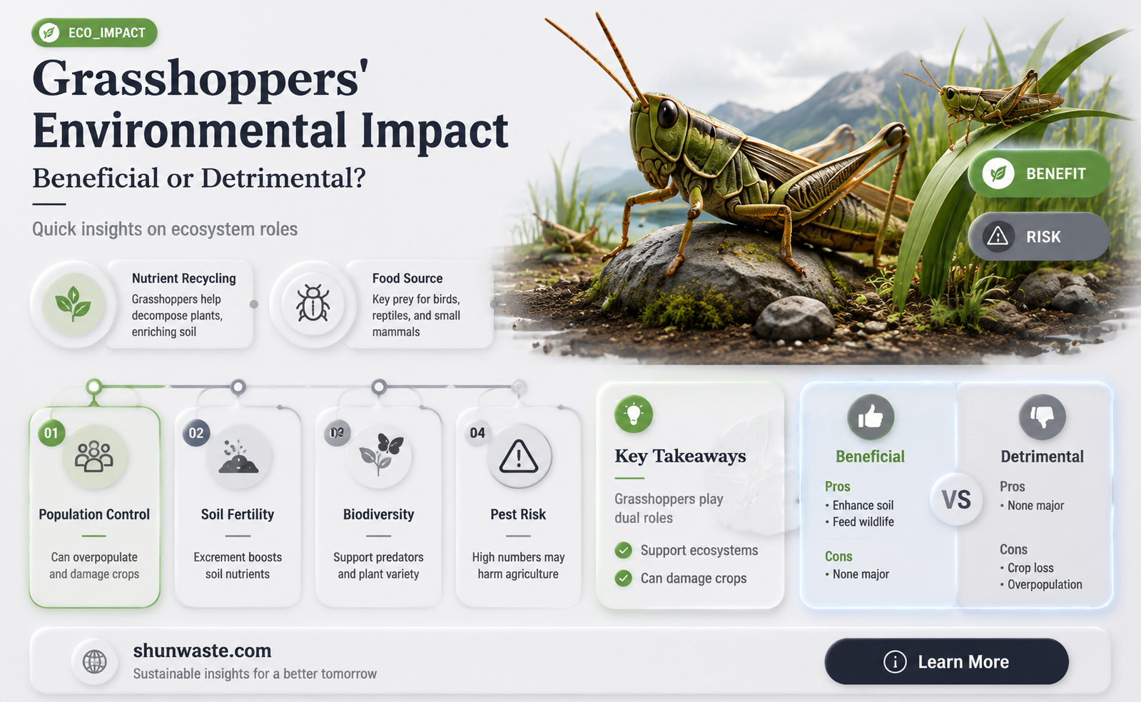 are grasshoppers good for the environment