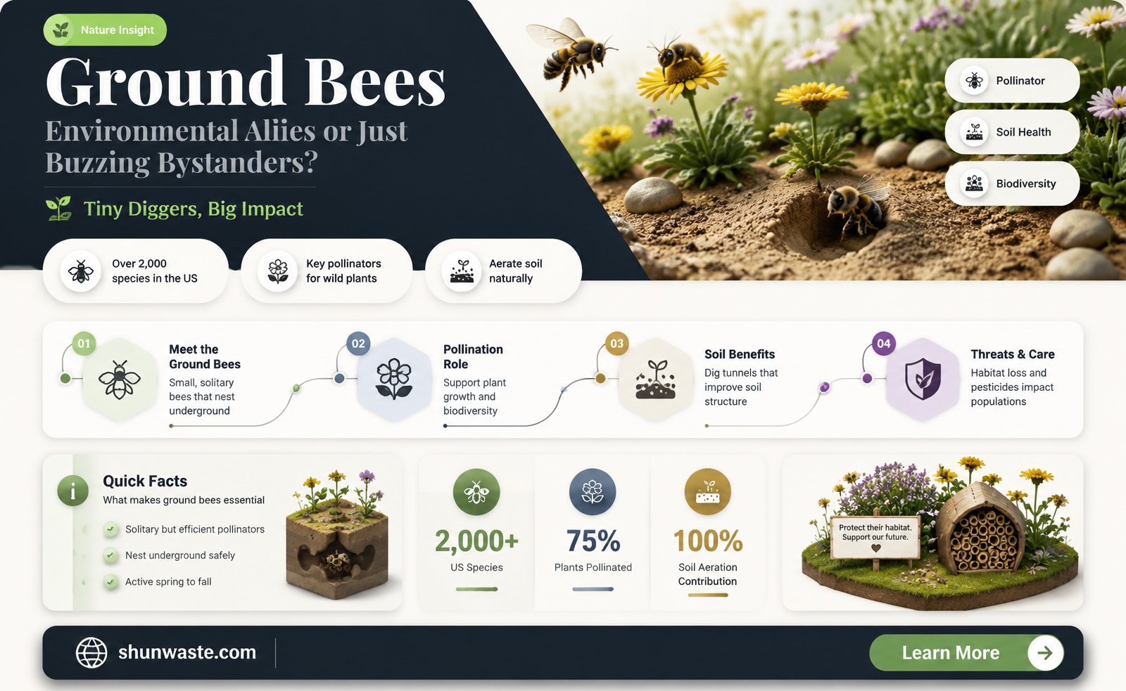 are ground bees good for the environment