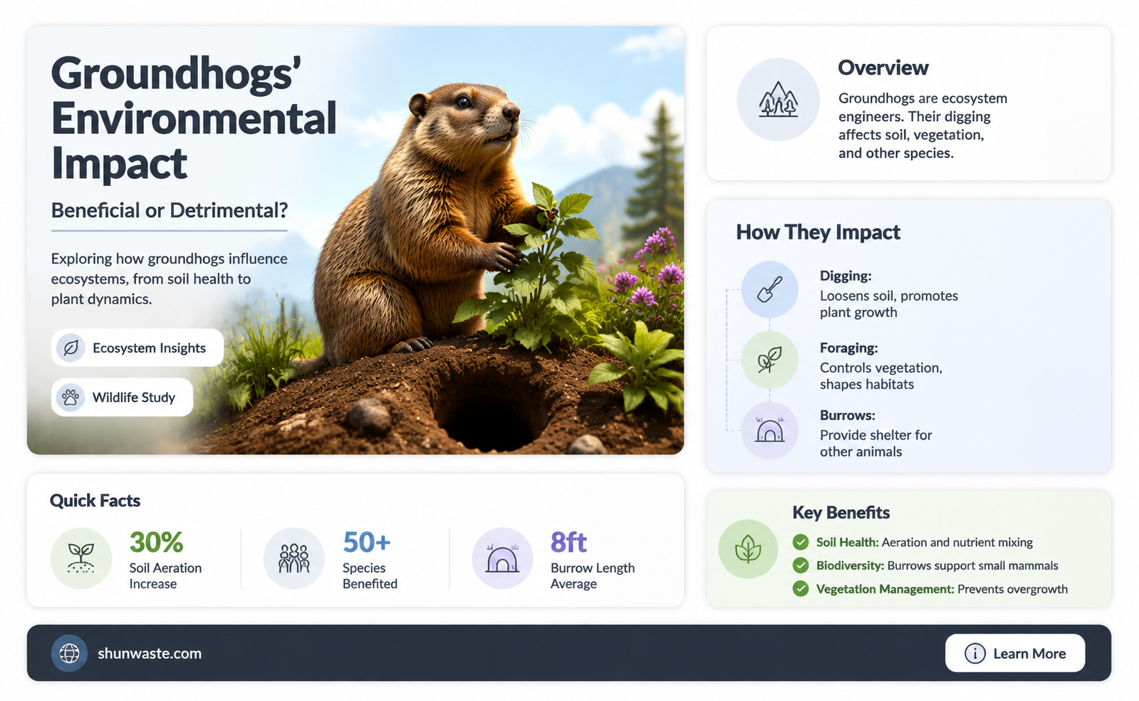 are groundhogs good for the environment