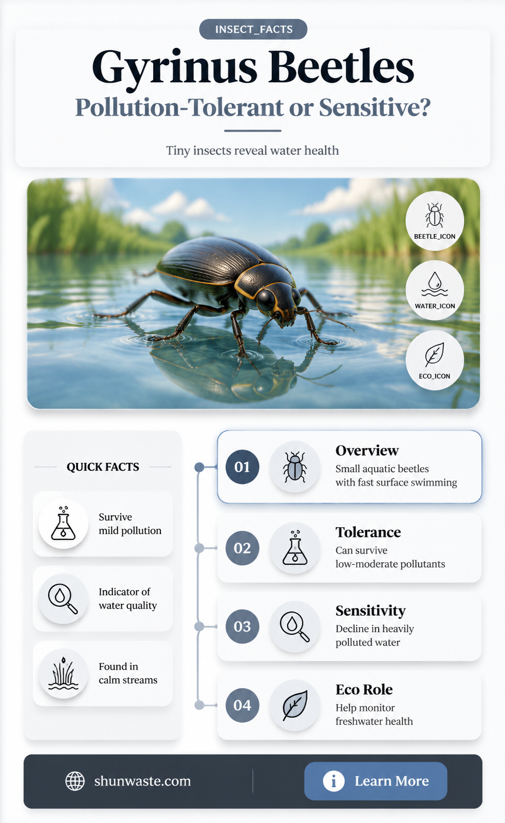 are gyrinus tolerant to pollution