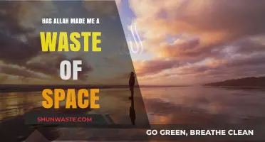 Am I a Waste of Space? Reflecting on Allah’s Purpose for Me