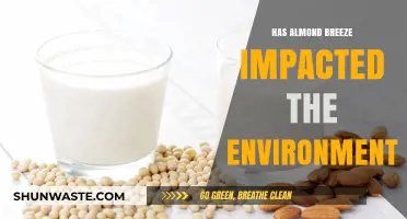 Almond Breeze's Environmental Impact: Sustainability or Strain on Ecosystems?