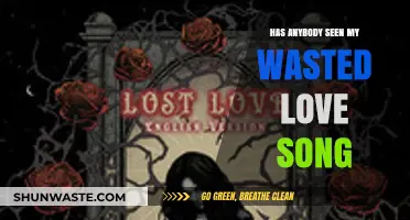 Lost Love Songs: Searching for My Wasted Melody's Echo
