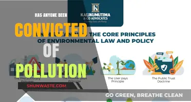 Who's Been Convicted of Pollution? A Look at Environmental Crimes