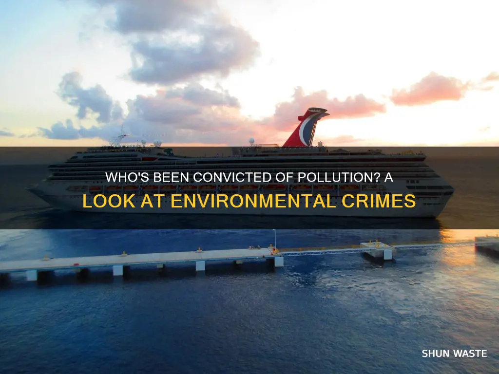 has anyone been convicted of pollution