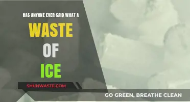 What a Waste of Ice": Unpacking the Phrase and Its Meaning