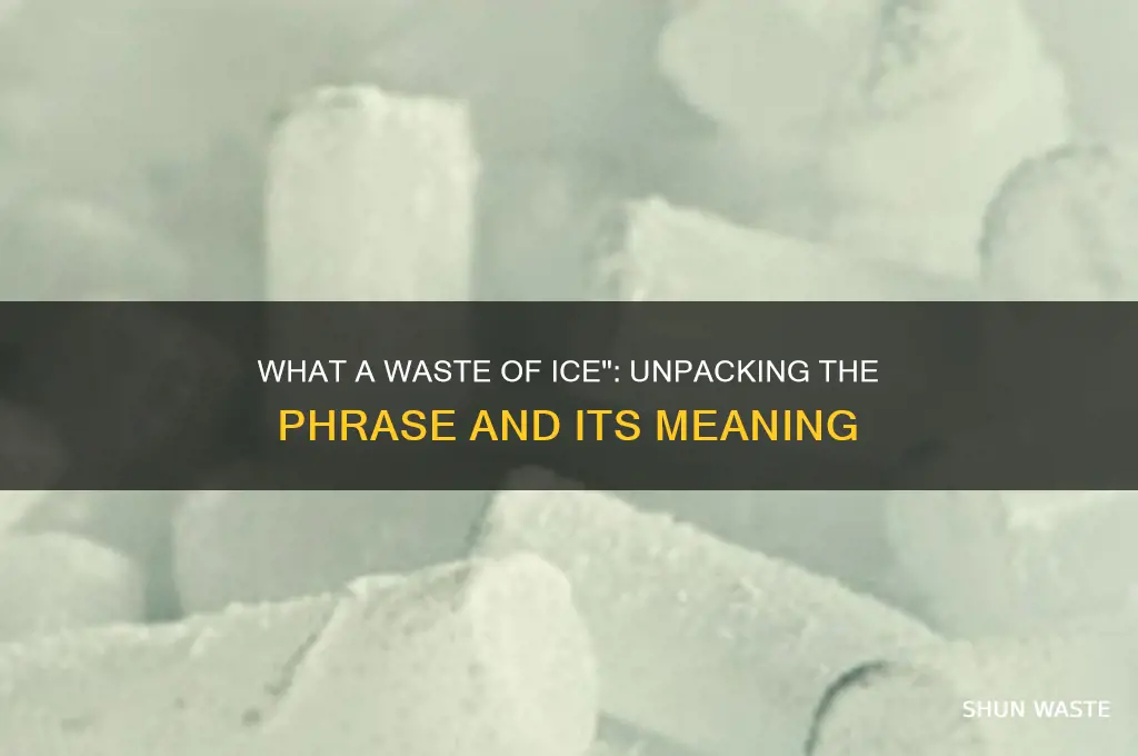 has anyone ever said what a waste of ice