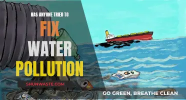 Water Pollution Solutions: Who's Trying to Fix It?