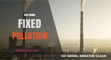 China's Pollution: A Solved Problem?